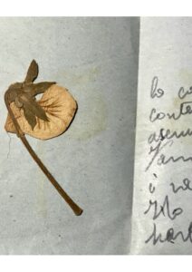 Fiore